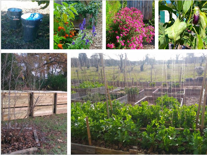 Jardin partag&eacute;